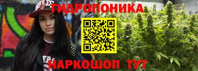спиды Севастополь