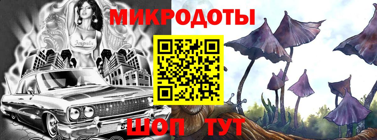 Псилоцибиновые грибы мухоморы Анжеро-Судженск