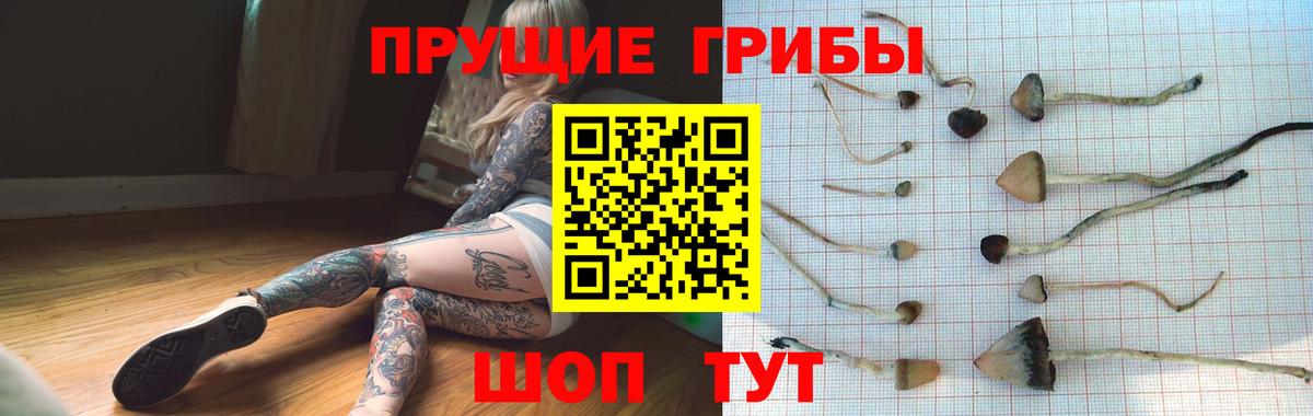 Галлюциногенные грибы Cubensis  дарнет шоп  Анжеро-Судженск  Вход с VPN  Галлюциногенные грибы Psilocybine cubensis 